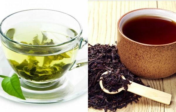 So sánh trà xanh và trà đen